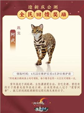 天龙八部私服终极冰雪